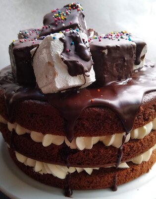Chocolate Marshmallow Cake